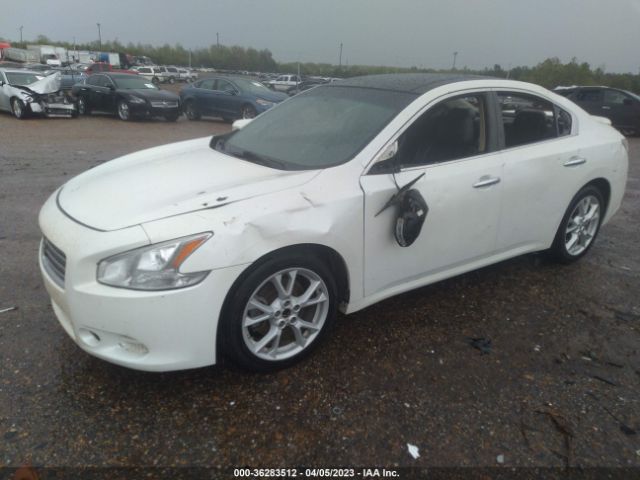 1N4AA5AP5EC444030 Nissan Maxima 3.5 Sv W/premium Pkg