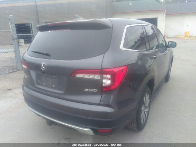 Honda Pilot Ex-l 2019 5FNYF6H50KB030219 Image 5