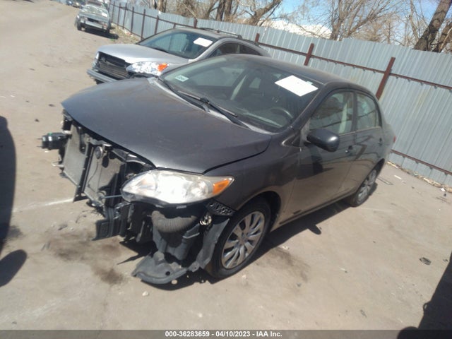 2012 TOYOTA COROLLA L/LE/S VIN: 2T1BU4EE3CC813691