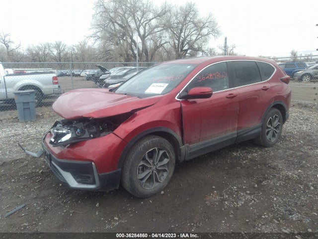 Honda CR-V EX 2021 2HKRW2H52MH630497 Image 2
