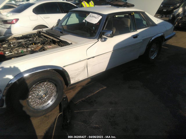 1990 JAGUAR XJS VIN: SAJNW5844LC171850
