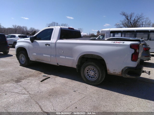 2019 CHEVROLET SILVERADO 1500 WORK TRUCK VIN: 3GCNYAEH0KG175463