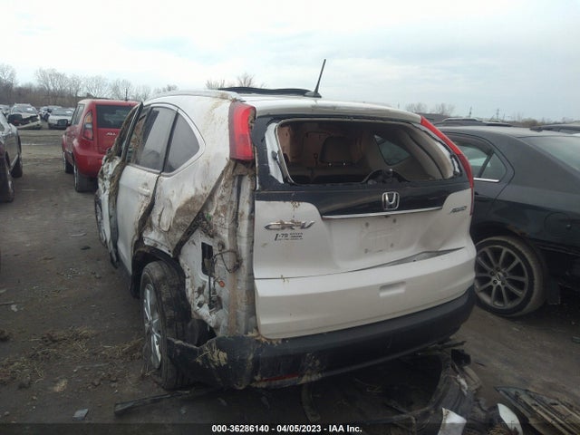 Honda Cr-v Ex-l 2014 5J6RM4H7XEL116696 Image 3
