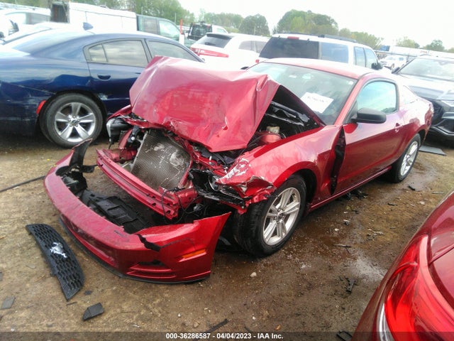 Ford Mustang V6 2014 1ZVBP8AM4E5312995 Image 2