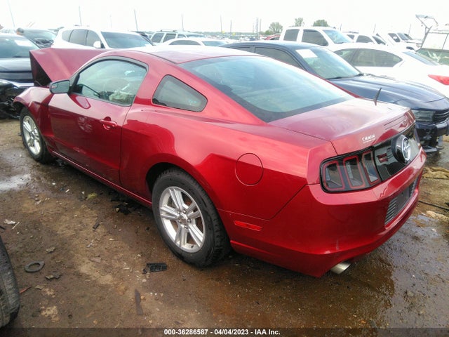 Ford Mustang V6 2014 1ZVBP8AM4E5312995 Image 4