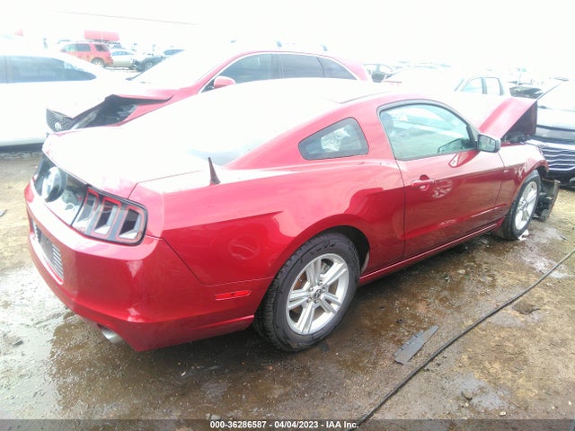 Ford Mustang V6 2014 1ZVBP8AM4E5312995 Image 5