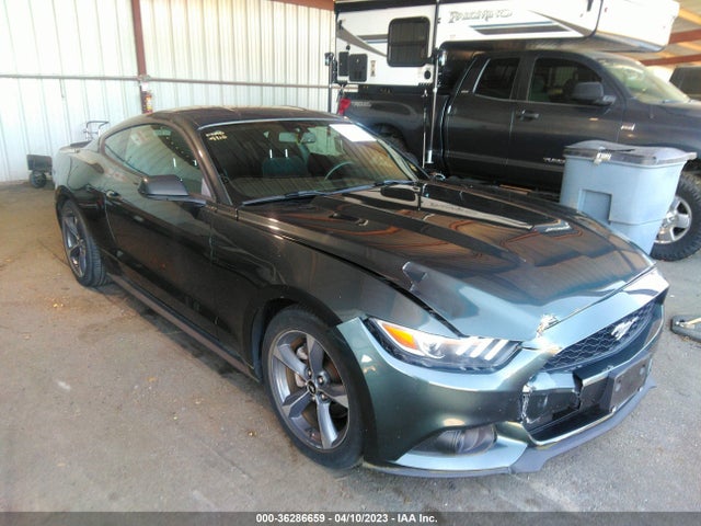 2015 1FA6P8AM1F5311797 main image