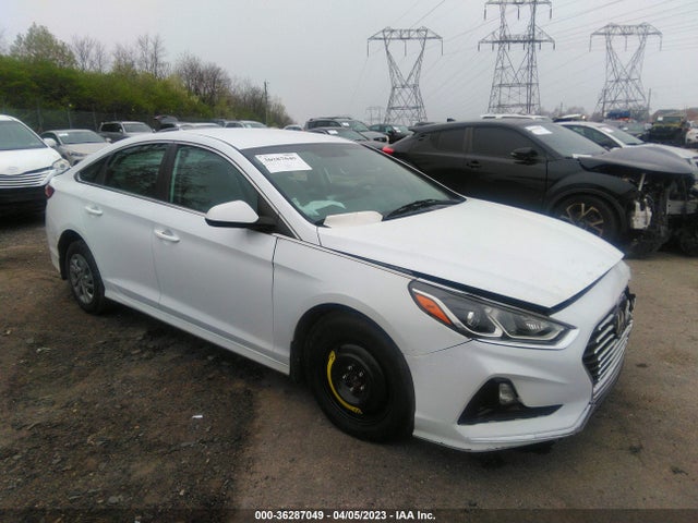 2019 5NPE24AF9KH810128 main image