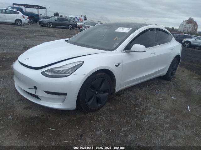 Tesla Model 3 Range 2019 5YJ3E1EA3KF310217 Image 2
