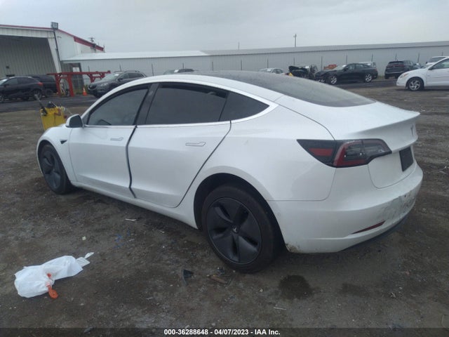 Tesla Model 3 Range 2019 5YJ3E1EA3KF310217 Image 3