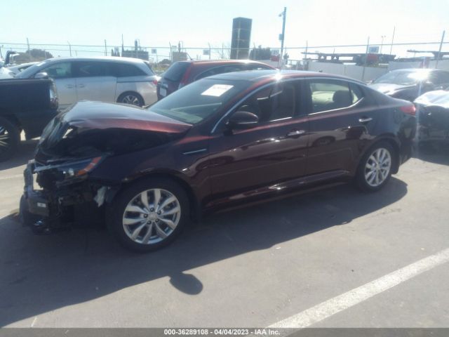5XXGN4A71FG481855 KIA OPTIMA EX