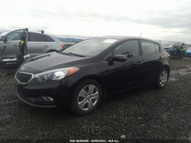 KNAFK5A86G5593296 KIA Forte 5-door Lx