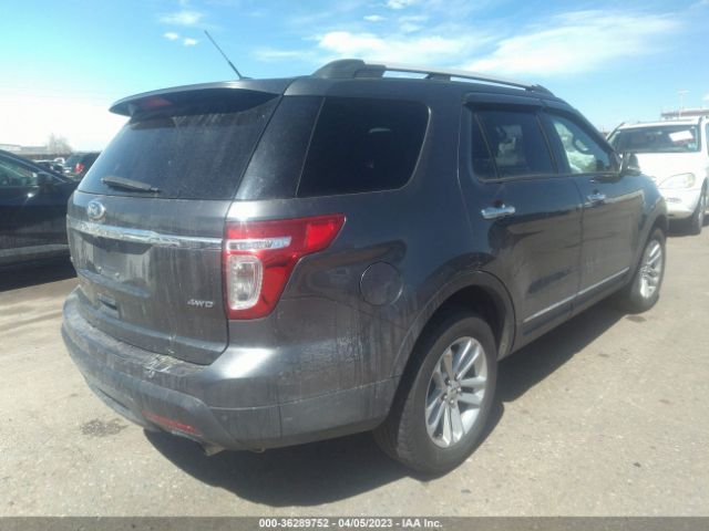 1FM5K8D82FGC28303 Ford EXPLORER XLT