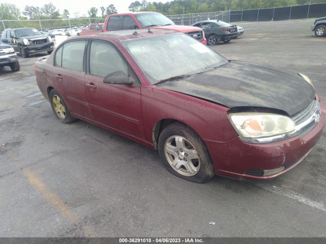 2004 CHEVROLET MALIBU LT VIN: 1G1ZU54894F189574
