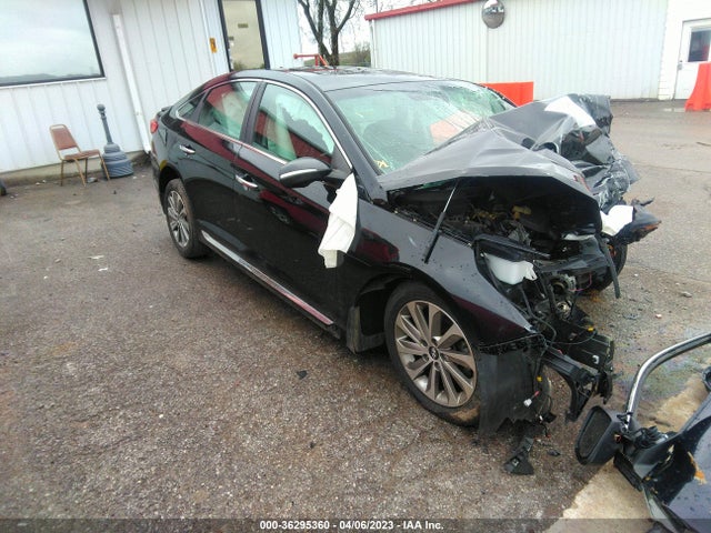 Hyundai Sonata Sport 2017 5NPE34AF1HH595396 main image