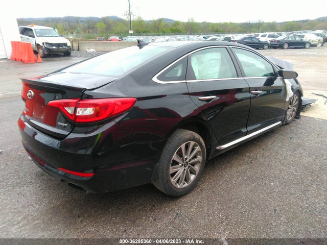 Hyundai Sonata Sport 2017 5NPE34AF1HH595396 Image 6