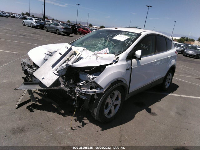 Ford ESCAPE SE 2016 1FMCU0G70GUC91649 Image 2