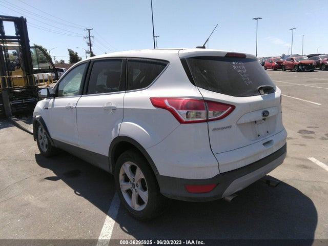 Ford ESCAPE SE 2016 1FMCU0G70GUC91649 Image 3