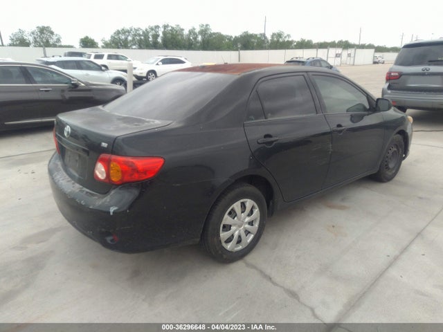 2010 TOYOTA COROLLA LE VIN: 1NXBU4EE6AZ310409