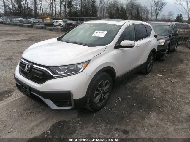 Honda CR-V EX 2020 2HKRW2H54LH638941 Image 2