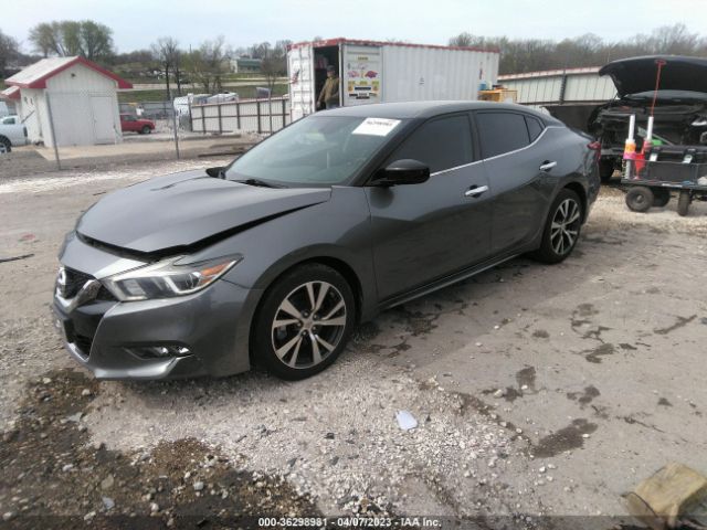 1N4AA6AP1GC431686 Nissan MAXIMA 3.5