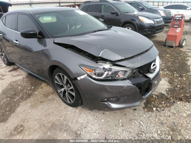 1N4AA6AP1GC431686 Nissan MAXIMA 3.5