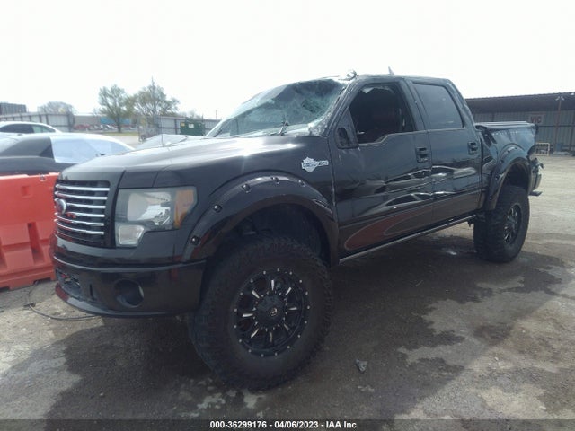 2010 FORD F-150 XL/XLT/FX4/LARIAT VIN: 1FTFW1EV1AFD25239