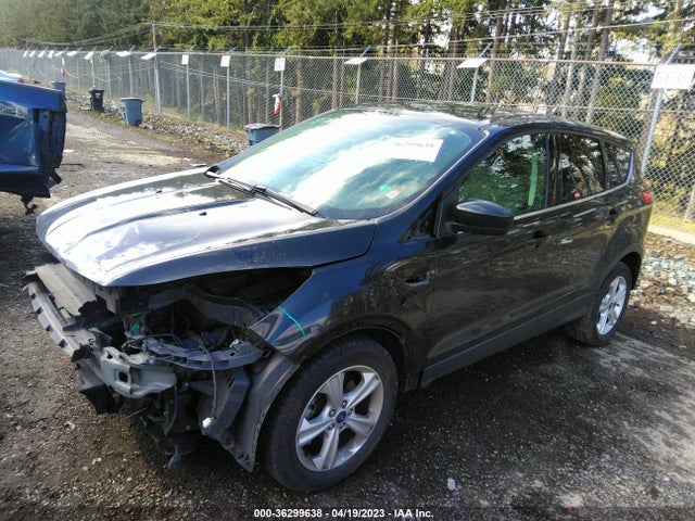 Ford ESCAPE SE 2014 1FMCU0GX9EUC37618 Image 2