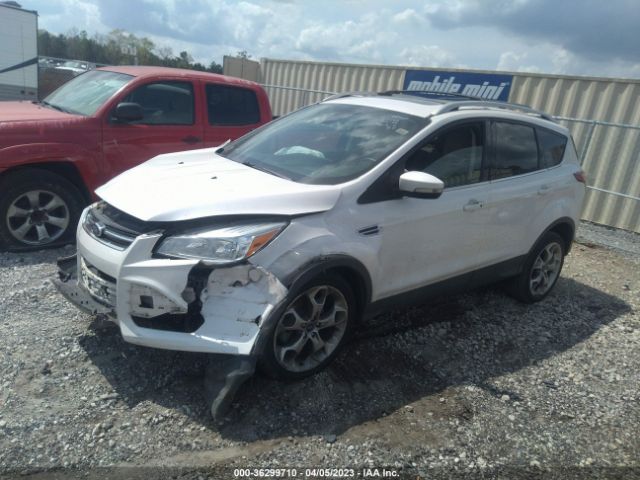 1FMCU0JX9FUA73443 Ford Escape Titanium