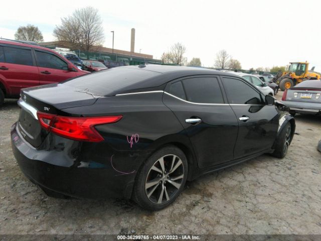1N4AA6AP8JC406954 Nissan MAXIMA SV