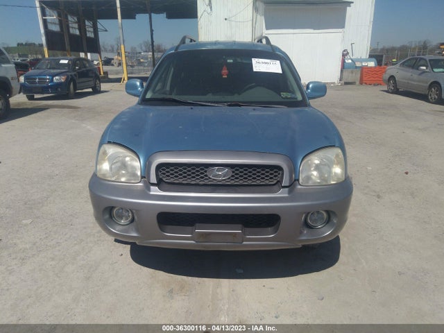 2003 HYUNDAI SANTA FE GLS/LX VIN: KM8SC13D13U531317
