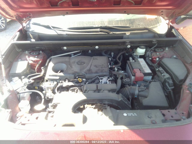 Toyota RAV4 LE 2019 JTMH1RFV6KD017002 Image 11