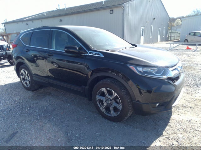 2019 5J6RW2H53KA008764 main image