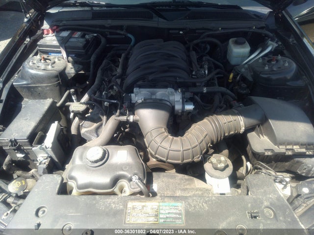 2006 FORD MUSTANG GT VIN: 1ZVHT82H165122256