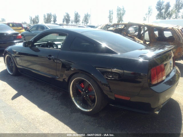 2006 FORD MUSTANG GT VIN: 1ZVHT82H165122256