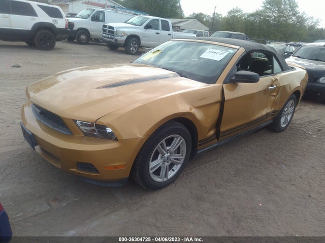 2010 FORD MUSTANG V6 VIN: 1ZVBP8EN1A5174331