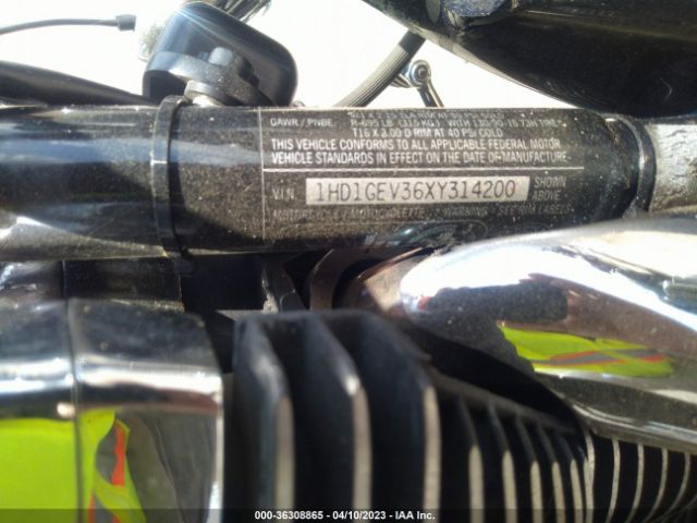 1999 HARLEY-DAVIDSON FXDWG 1HD1GEV36XY314200 Photo 9
