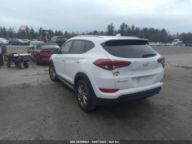 Hyundai Tucson Se Plus 2017 KM8J3CA46HU522369 Image 3