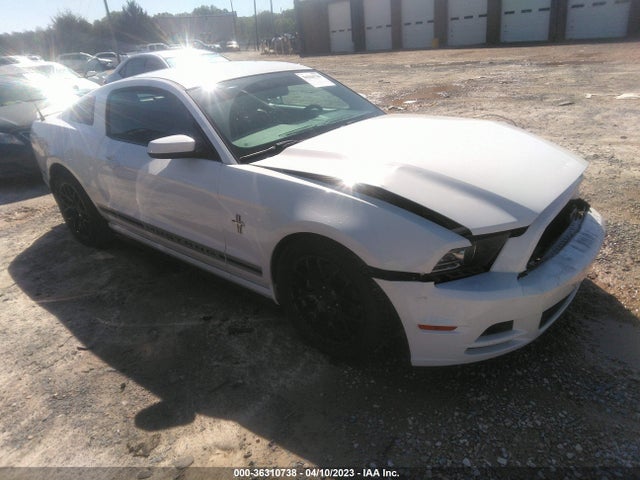 2013 FORD MUSTANG V6 VIN: 1ZVBP8AMXD5210664
