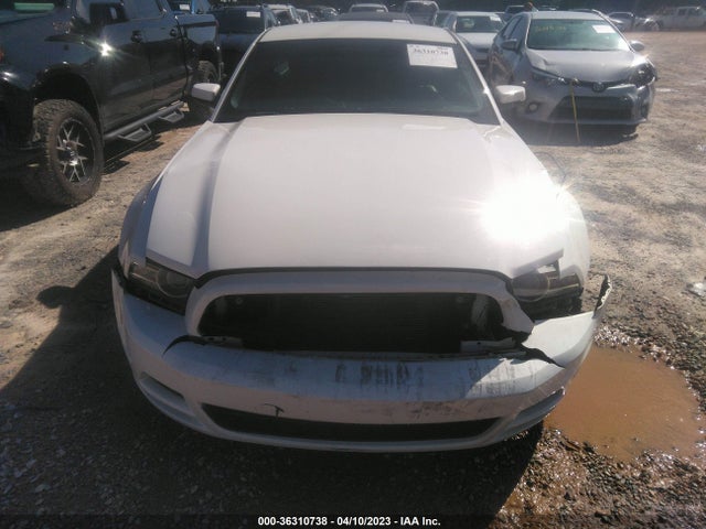 2013 FORD MUSTANG V6 VIN: 1ZVBP8AMXD5210664