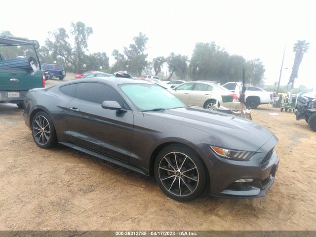 2015 1FA6P8TH9F5382567 main image