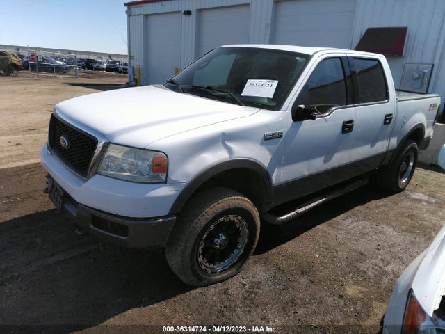2004 FORD F-150 XLT/FX4/LARIAT VIN: 1FTPW14584FA38281