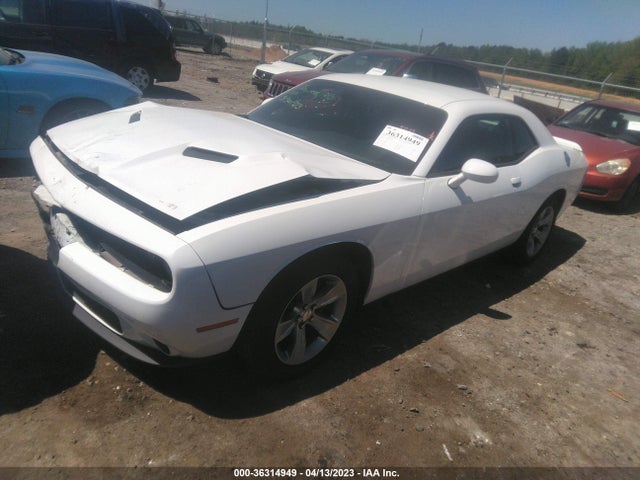 Dodge Challenger Sxt 2019 2C3CDZAG7KH525643 Image 2