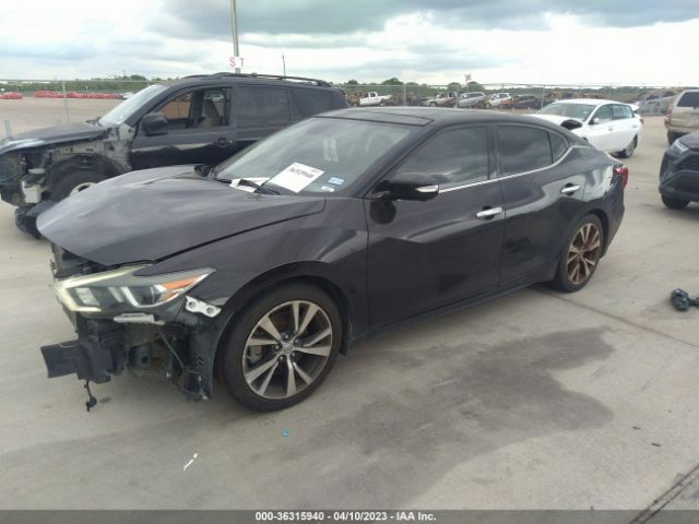 1N4AA6AP4HC364633 Nissan Maxima Platinum