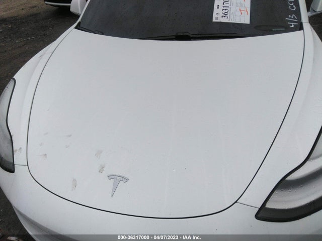 Tesla Model 3 Long Range/performance 2019 5YJ3E1EB6KF487580 Image 11