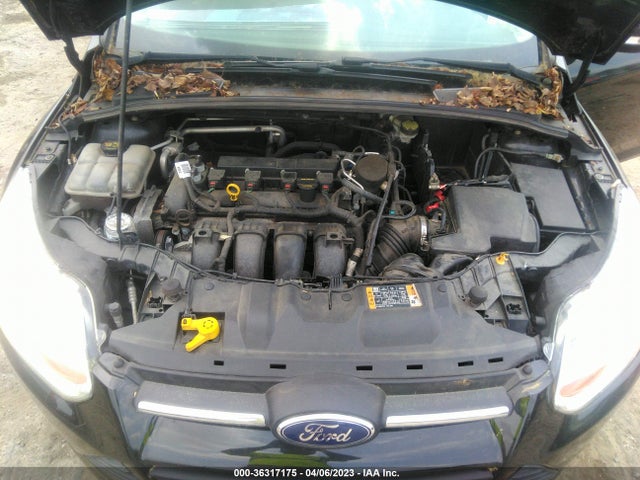 Ford FOCUS SE 2014 1FADP3K24EL335514 Image 11