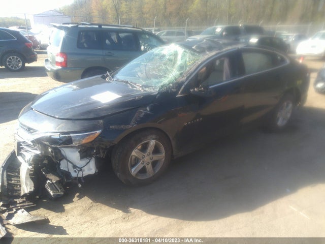 Chevrolet MALIBU LS 2022 1G1ZB5ST0NF215588 Image 2
