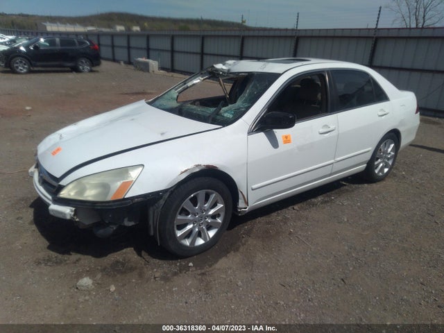 2007 HONDA ACCORD SDN EX-L VIN: 1HGCM66577A078501