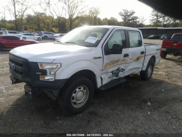 1FTEW1EF9GFC00695 Ford F-150 Xlt/xl/lariat/platinum