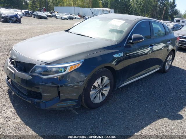 KNAGT4LC1H5007246 KIA Optima Hybrid Base